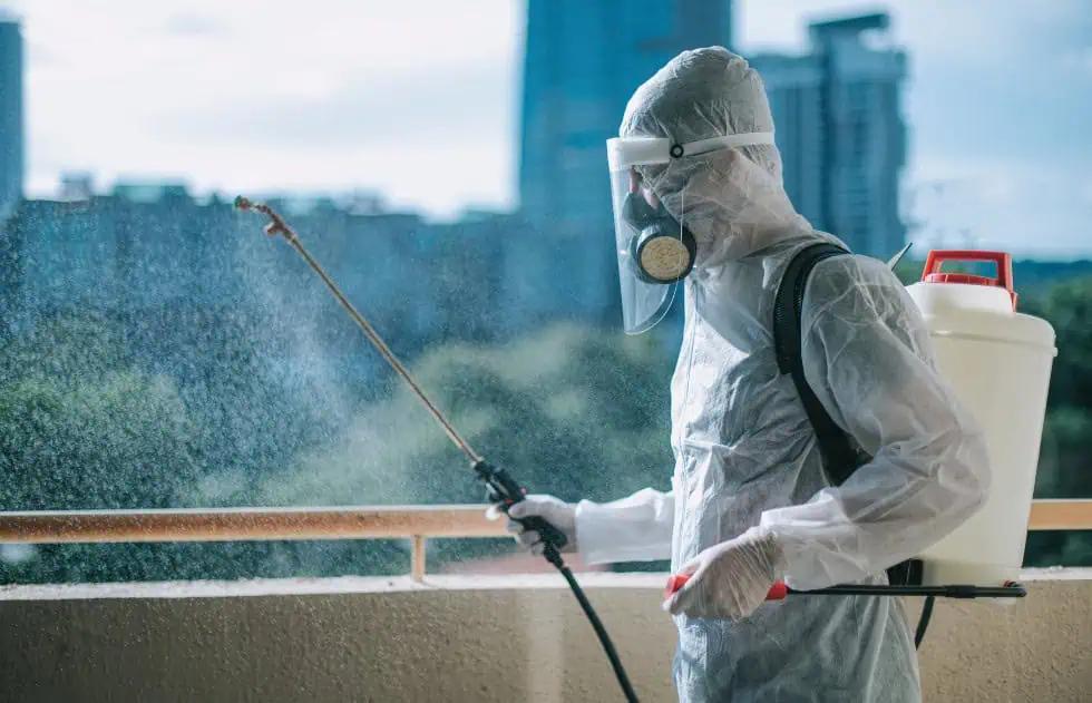 pest control seo experts