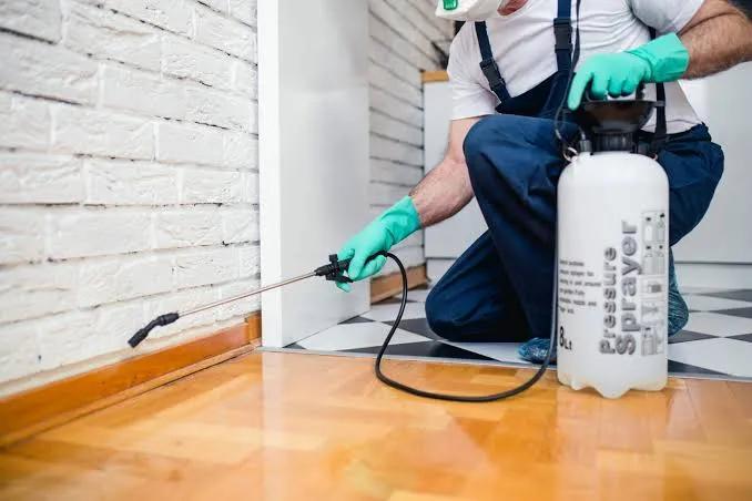 Is Local SEO Marketing Worth It for Pest Control Companies?